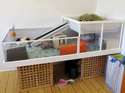 wood and plexiglass guinea pig cage